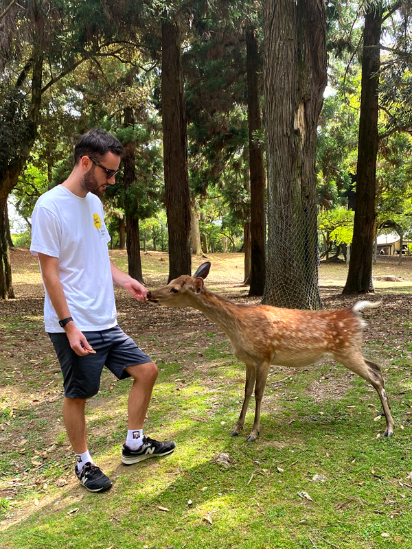 Me feeding a deer a cookie.